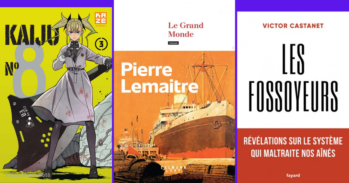 Classifica libri più venduti in francia top 20